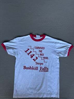Vintage 80's Bushkill Falls Poconos 1267 Steps Ringer T Shirt Soft! M 0655